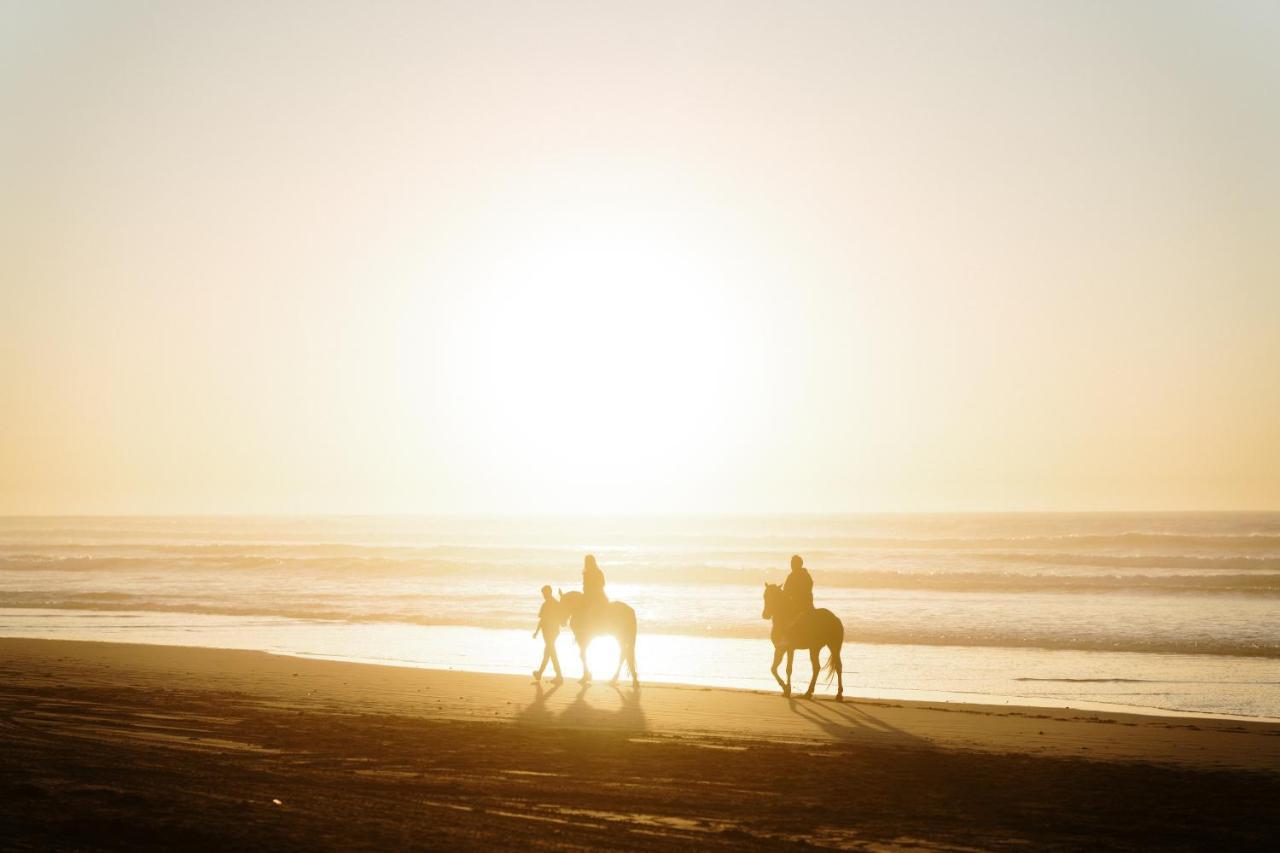索维拉莫加多尔索菲特高尔夫酒店及水疗中心 外观 照片 Horse riding on the beach at Swakopmund