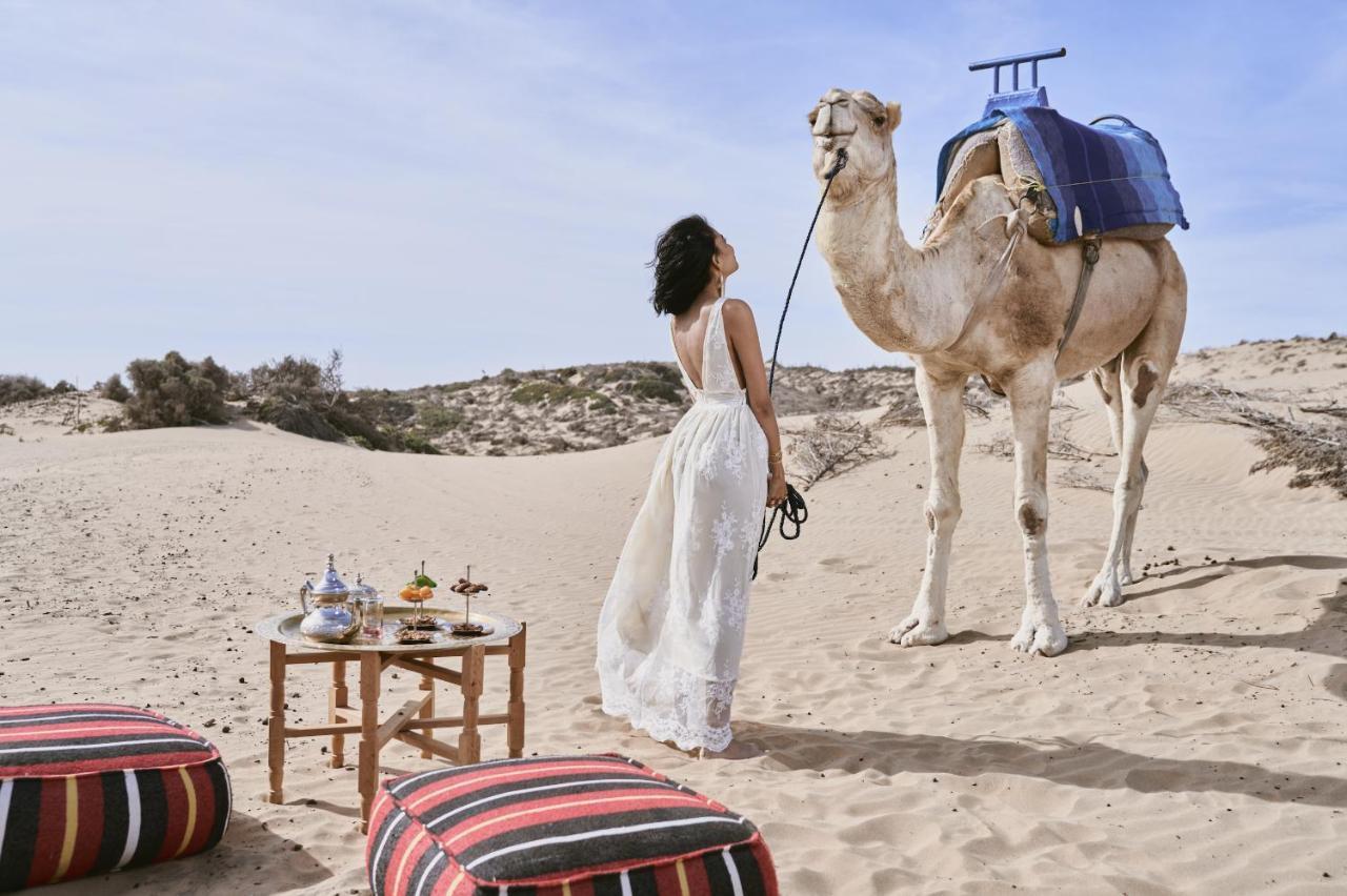 索维拉莫加多尔索菲特高尔夫酒店及水疗中心 外观 照片 A woman with a camel in the desert