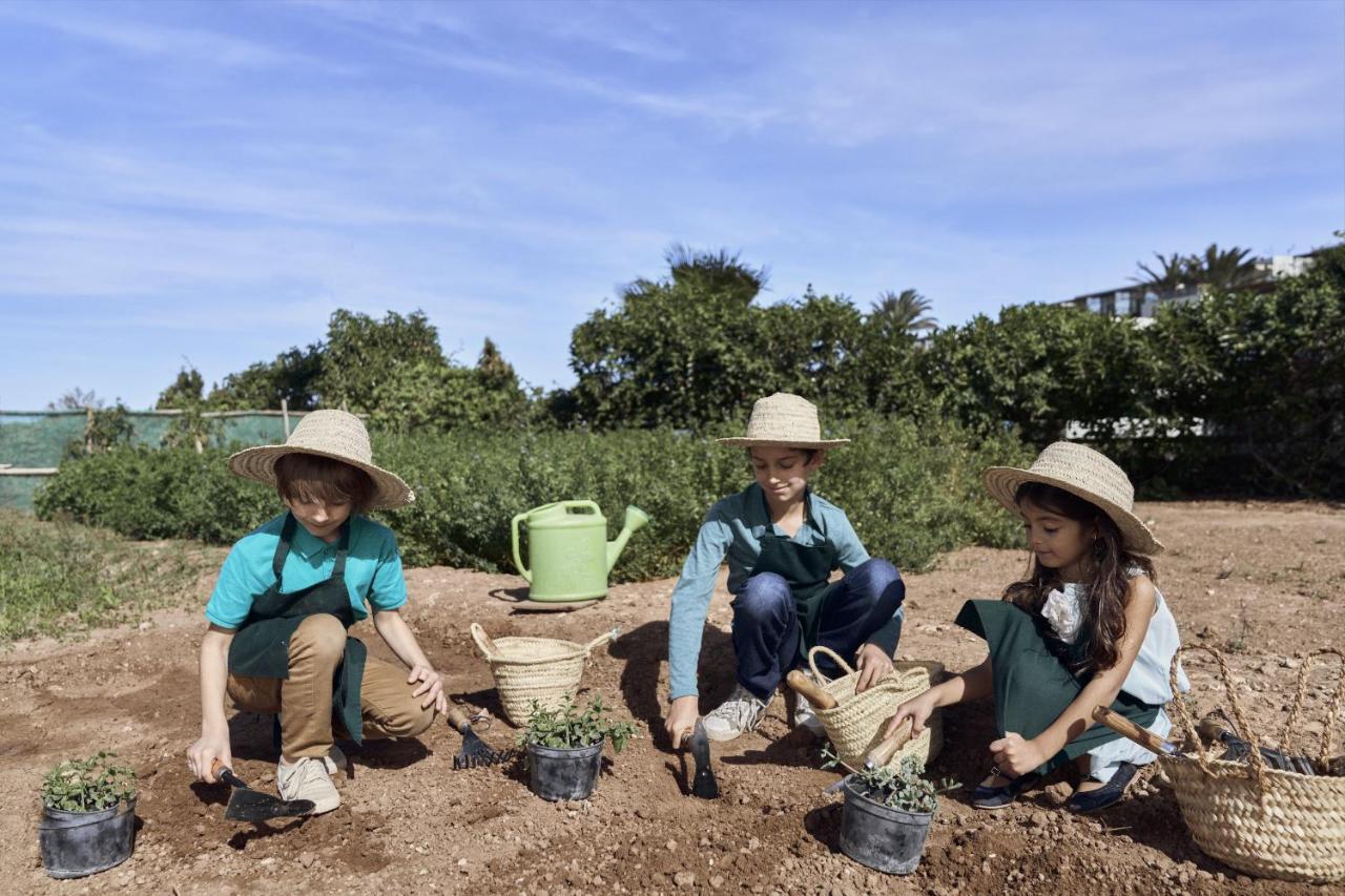 索维拉莫加多尔索菲特高尔夫酒店及水疗中心 外观 照片 Children working in the garden
